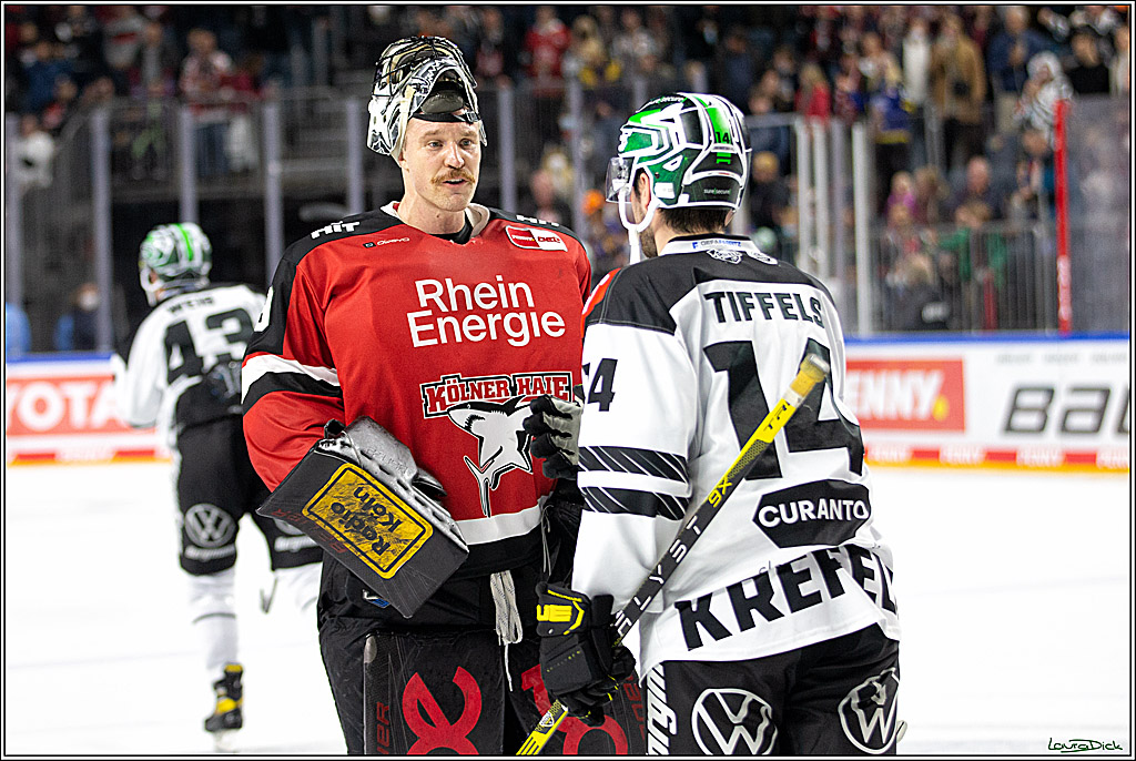PENNY DEL;  Koelner Haie - Krefeld Pinguins; Koeln, 31.10.2021